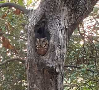 A Journey Through Sacred Shores- Our Saurashtra Sojourn (Dec 2024)